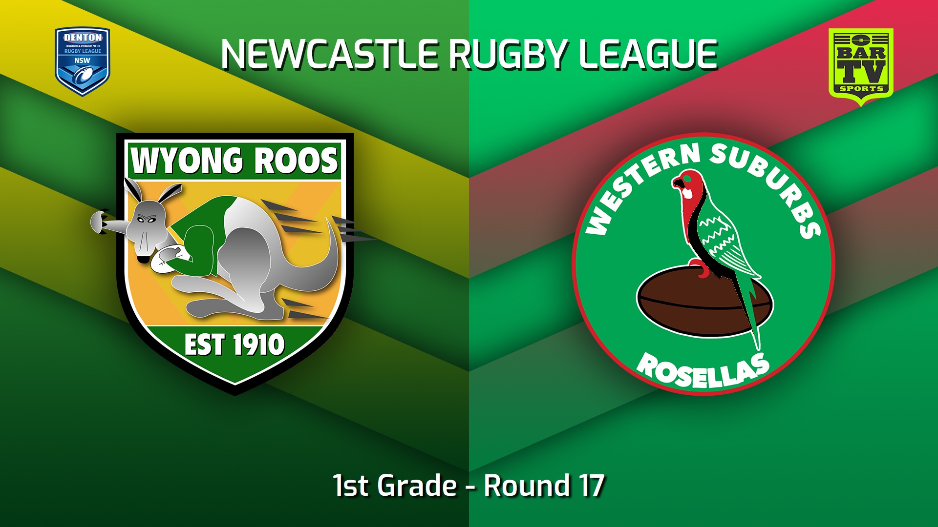 230729-Newcastle RL Round 17 - 1st Grade - Wyong Roos v Western Suburbs Rosellas Slate Image