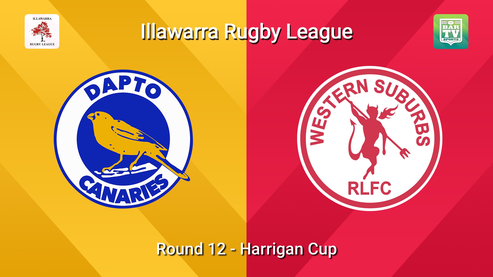 260801-video-Illawarra Round 12 - Harrigan Cup - Dapto Canaries v Western Suburbs Devils Slate Image