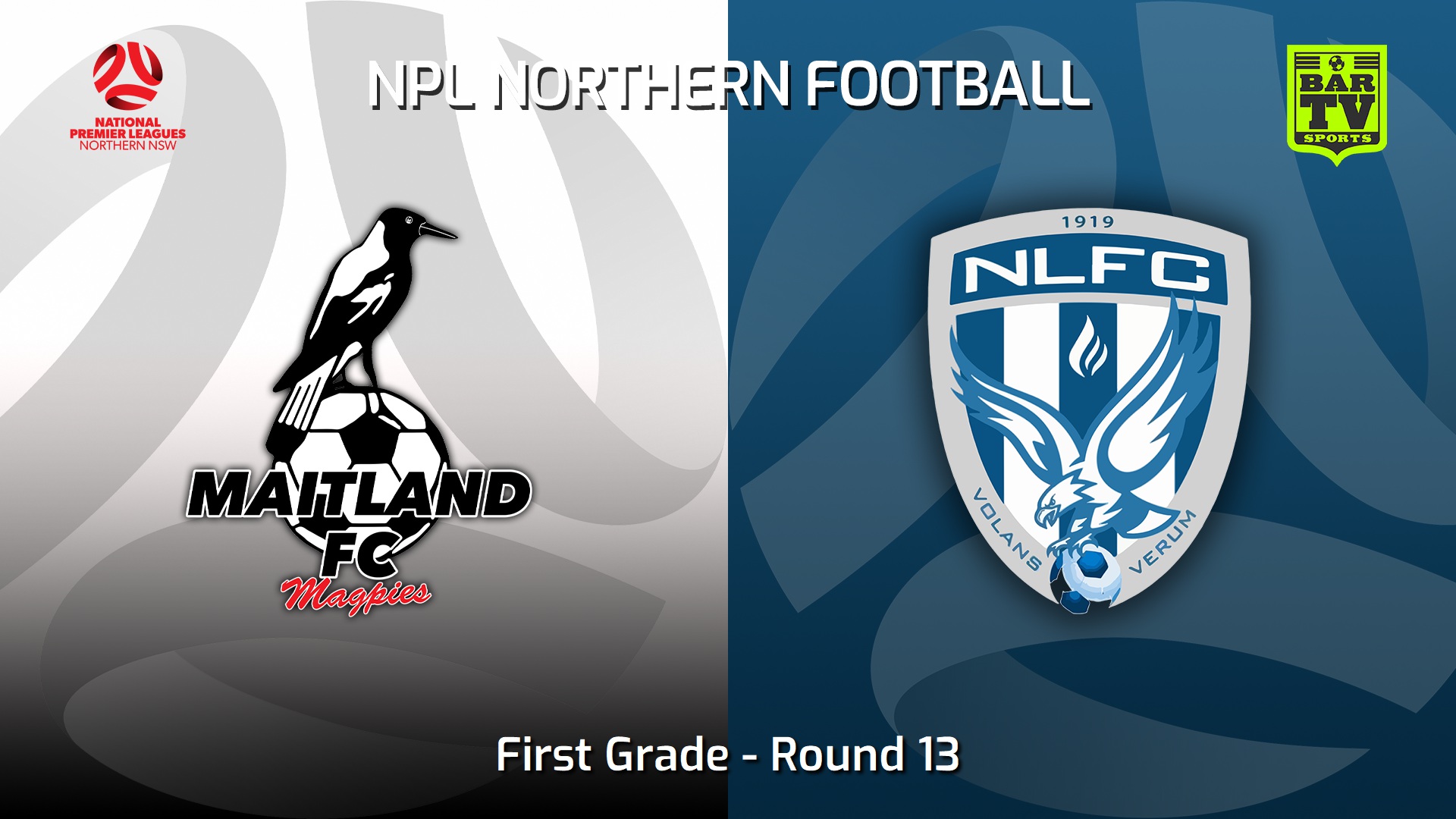 230527-NNSW NPLM Round 13 - Maitland FC v New Lambton FC (1) Slate Image