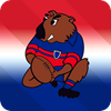 Mudgee Wombats Logo