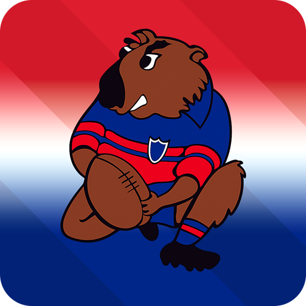 Mudgee Wombats Logo