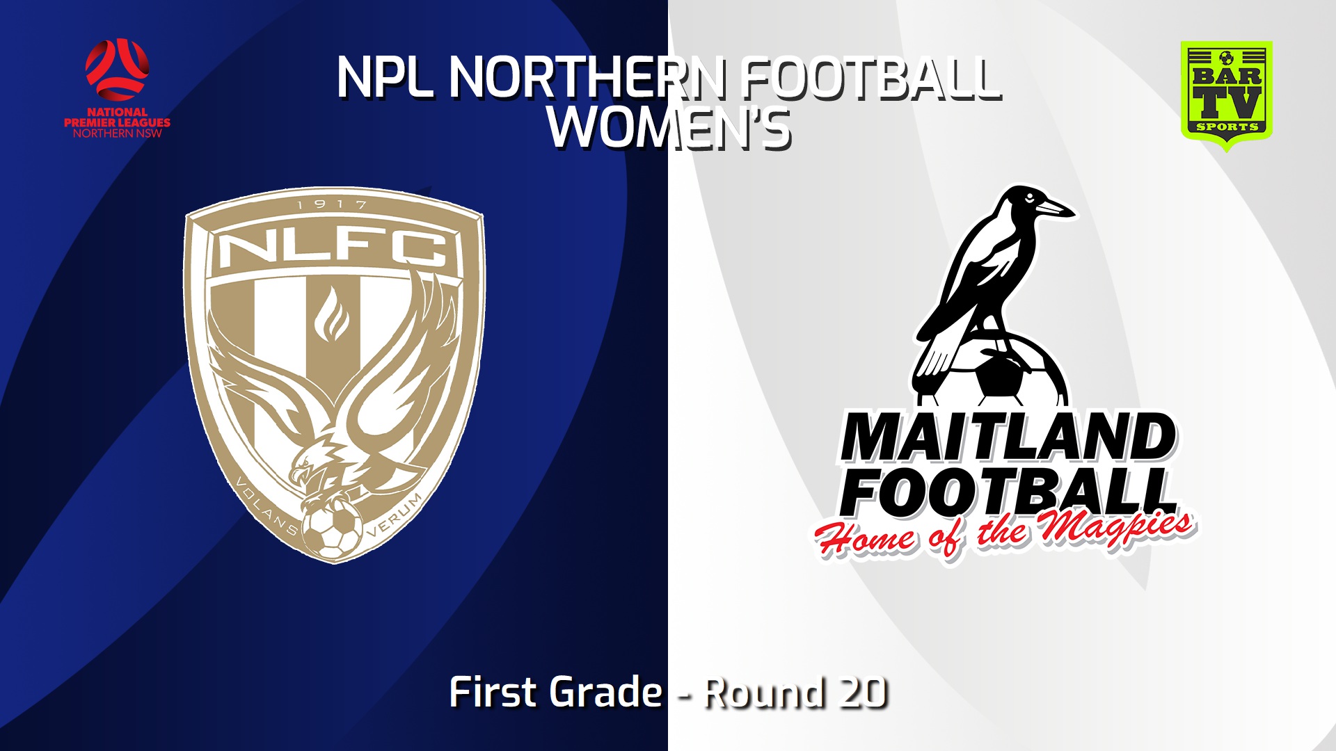 240810-video-NNSW NPLW Round 20 - New Lambton FC W v Maitland FC W Slate Image