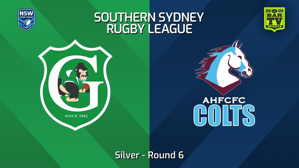 240525-video-S. Sydney Open Round 6 - Silver - Gymea Gorillas v Aquinas Colts Slate Image