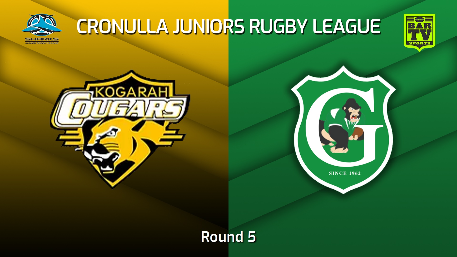 230513-Cronulla Juniors Round 5 - U13 Bronze - Kogarah Cougars v Gymea Gorillas Slate Image