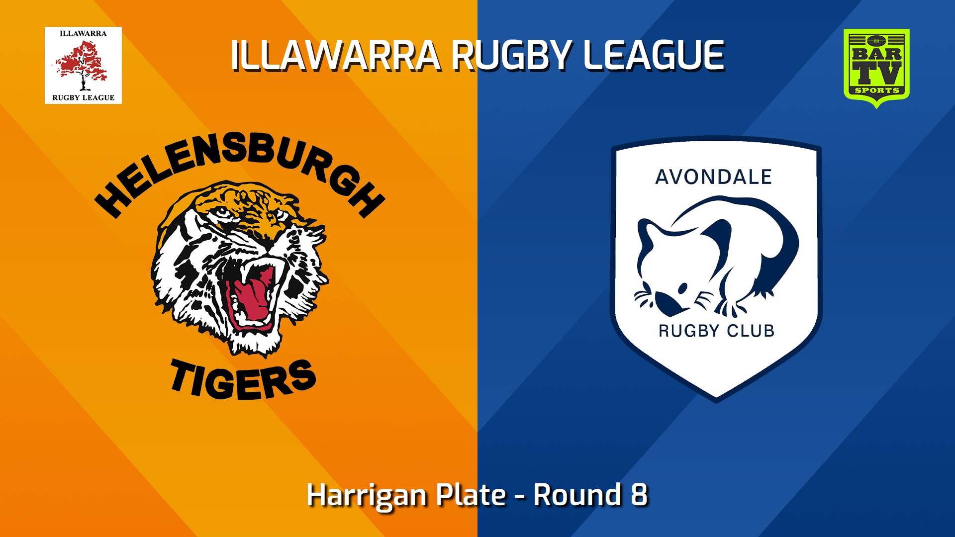 240615-video-Illawarra Round 8 - Harrigan Plate - Helensburgh Tigers v Avondale Wombats Slate Image