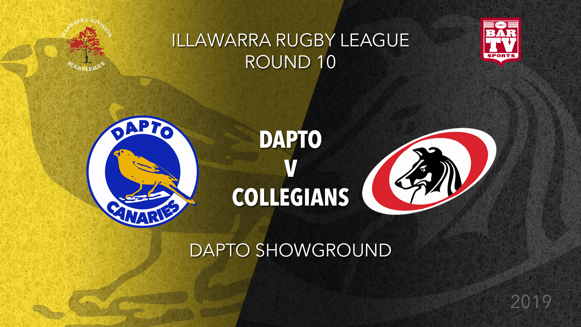 IRL Round 10 - 1st Grade - Dapto Canaries v Collegians RLFC Slate Image