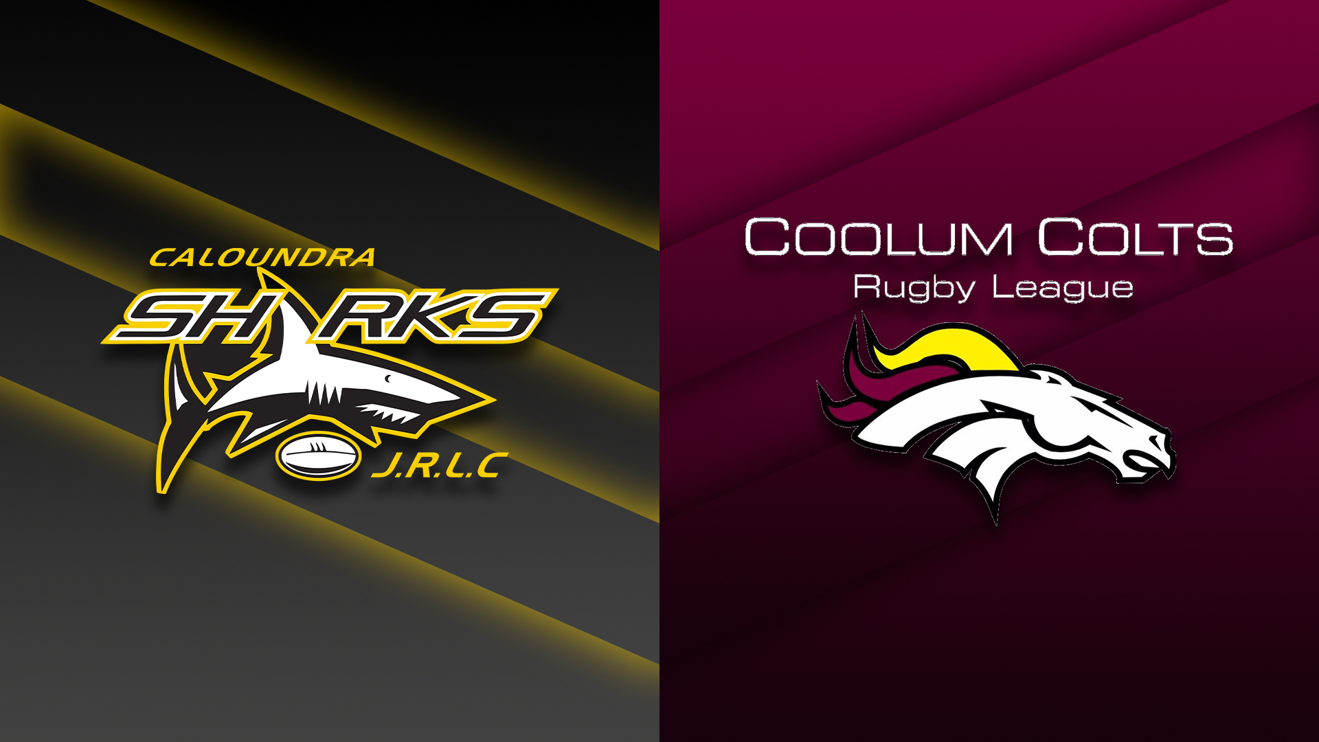 230331-Sunshine Coast Junior Rugby League U15 Girls - Round 2 - Caloundra Sharks v Coolum Colts Slate Image