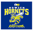 Howick Hornets Logo