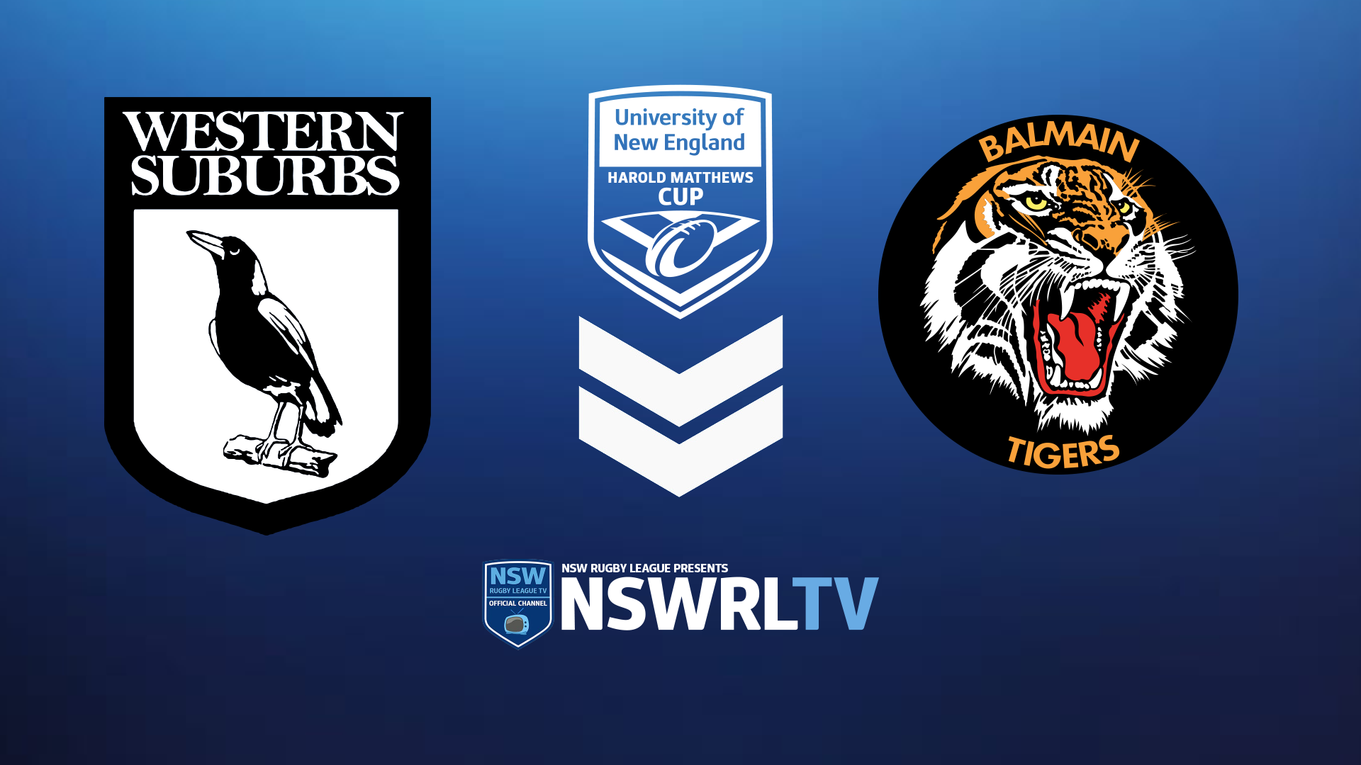 240309-video-UNE Harold Matthews Cup Round 6 - Western Suburbs Magpies v Balmain Tigers Slate Image