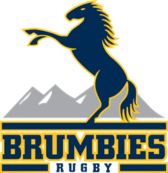 Brumbies Logo