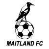 Maitland FC U20 Logo