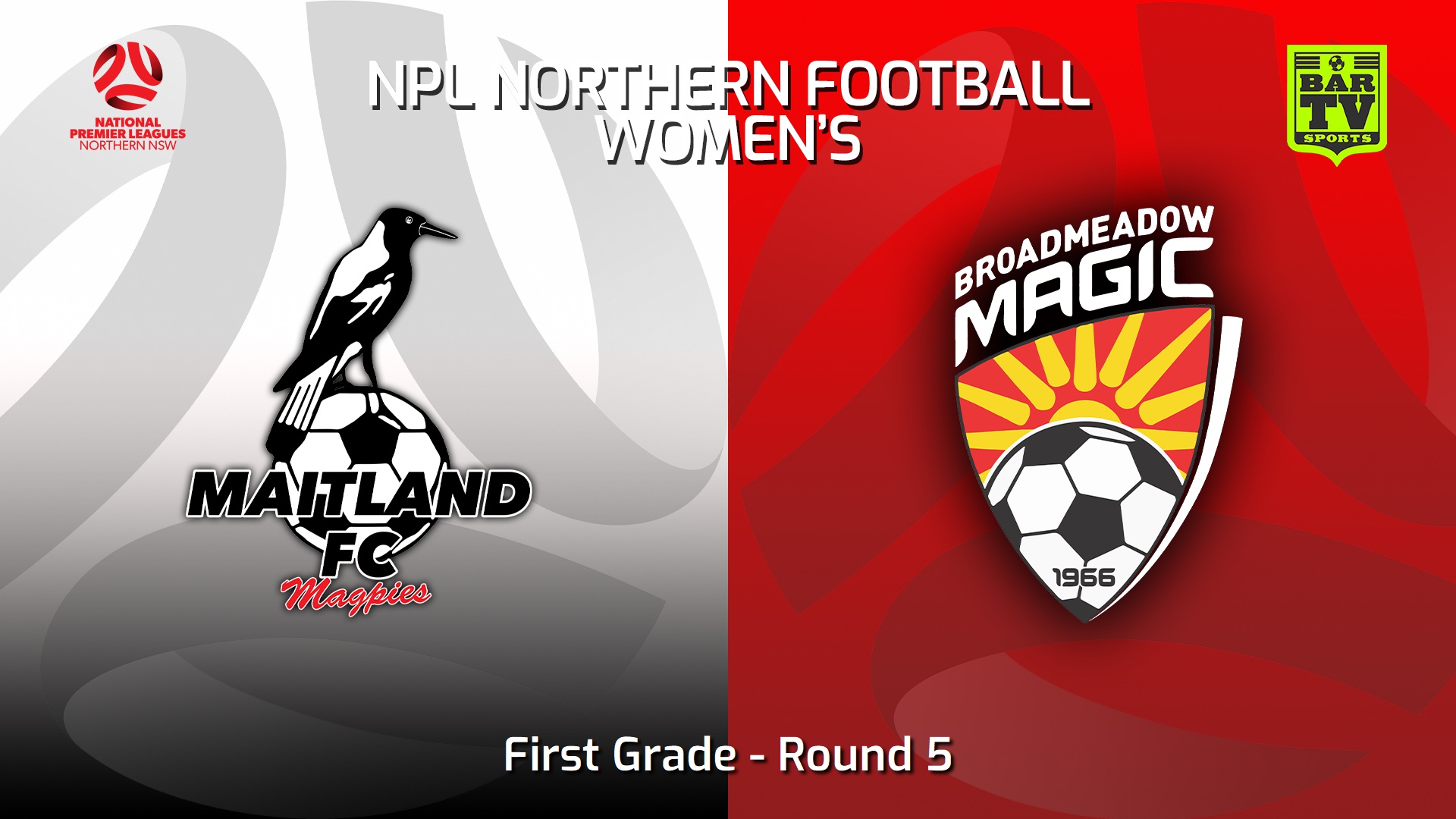 230402-NNSW NPLW Round 5 - Maitland FC W v Broadmeadow Magic FC W Slate Image