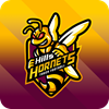 Hills Hornets Touch Logo