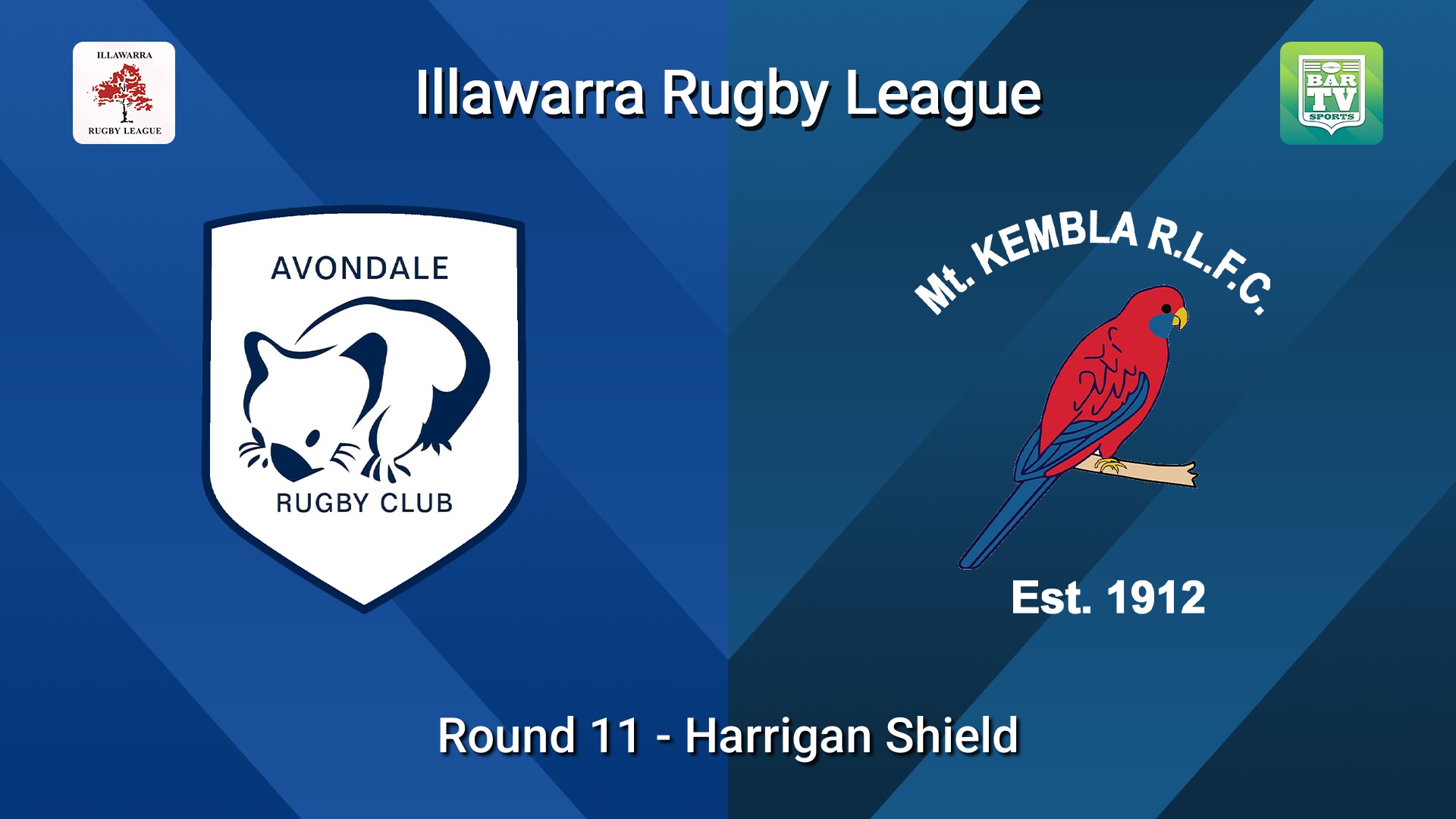 260725-video-Illawarra Round 11 - Harrigan Shield - Avondale Wombats v Mt Kembla Slate Image