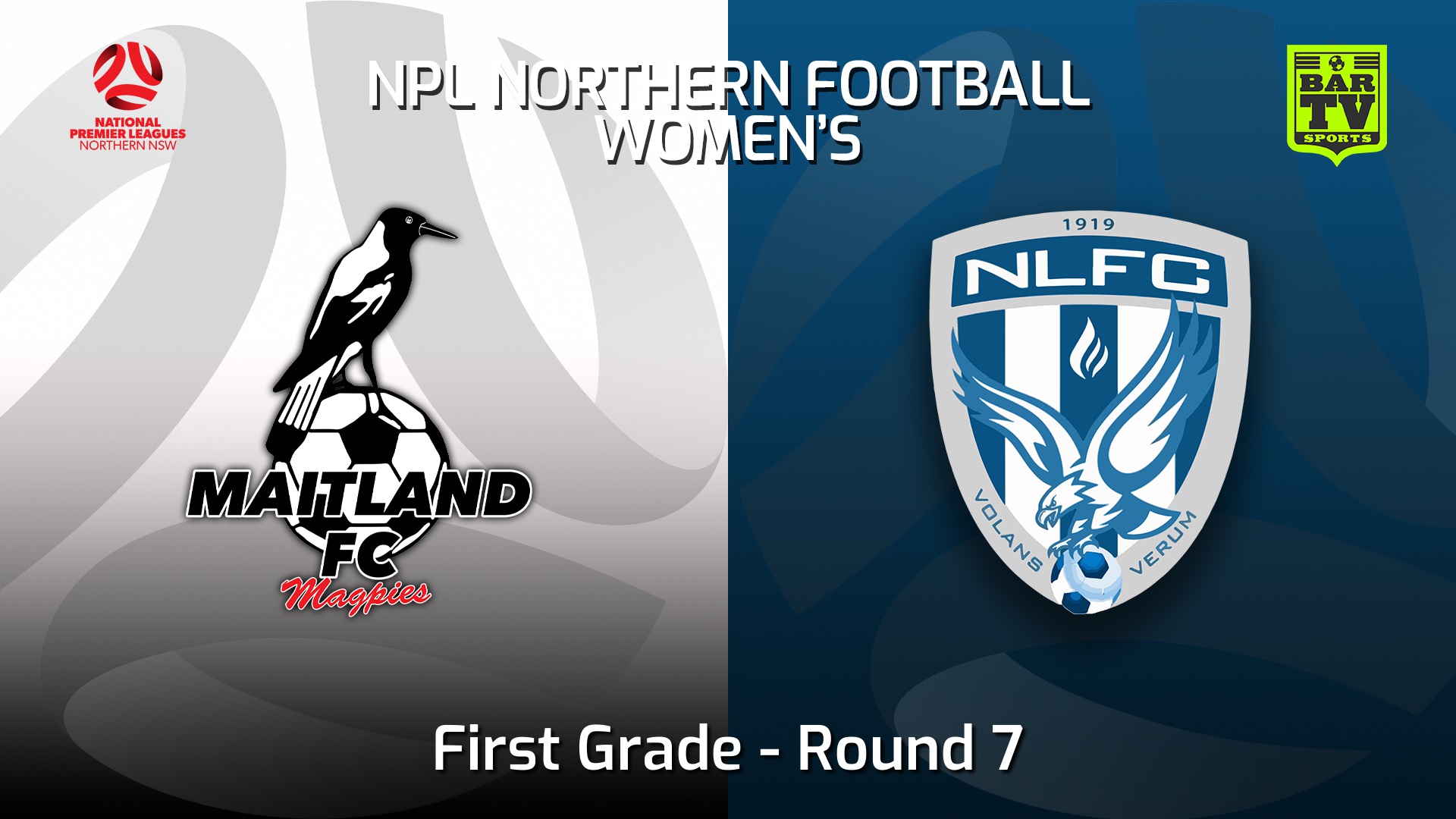 220508-NNSW NPLW Round 7 - Maitland FC W v New Lambton FC W Slate Image