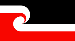 TE AO MAORI Logo