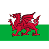 Wales Red Dragons (men's) Logo