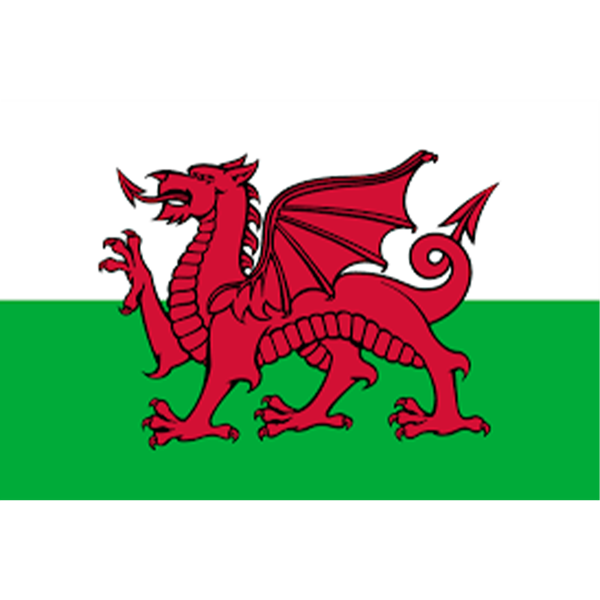 Wales Red Dragons (men's) Logo