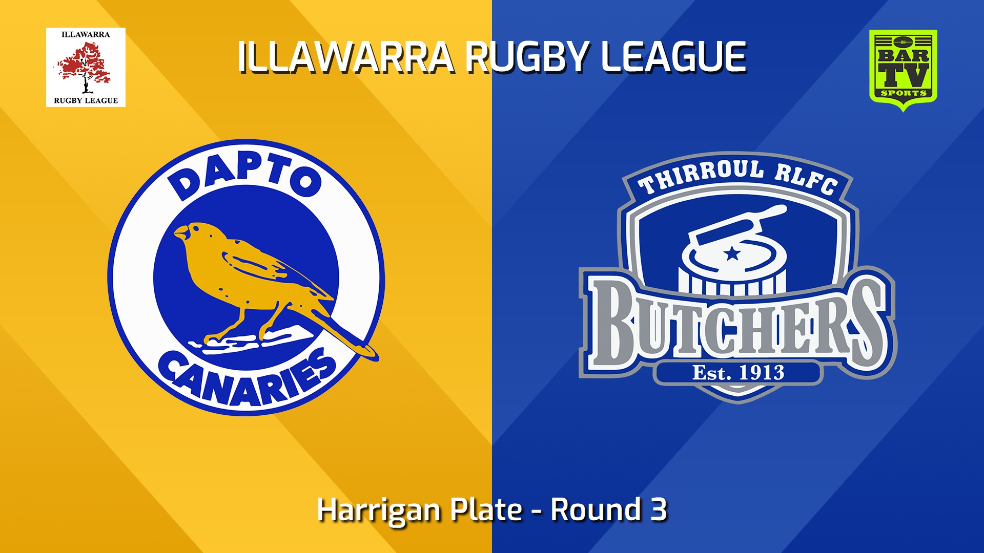 240504-video-Illawarra Round 3 - Harrigan Plate - Dapto Canaries v Thirroul Butchers Slate Image