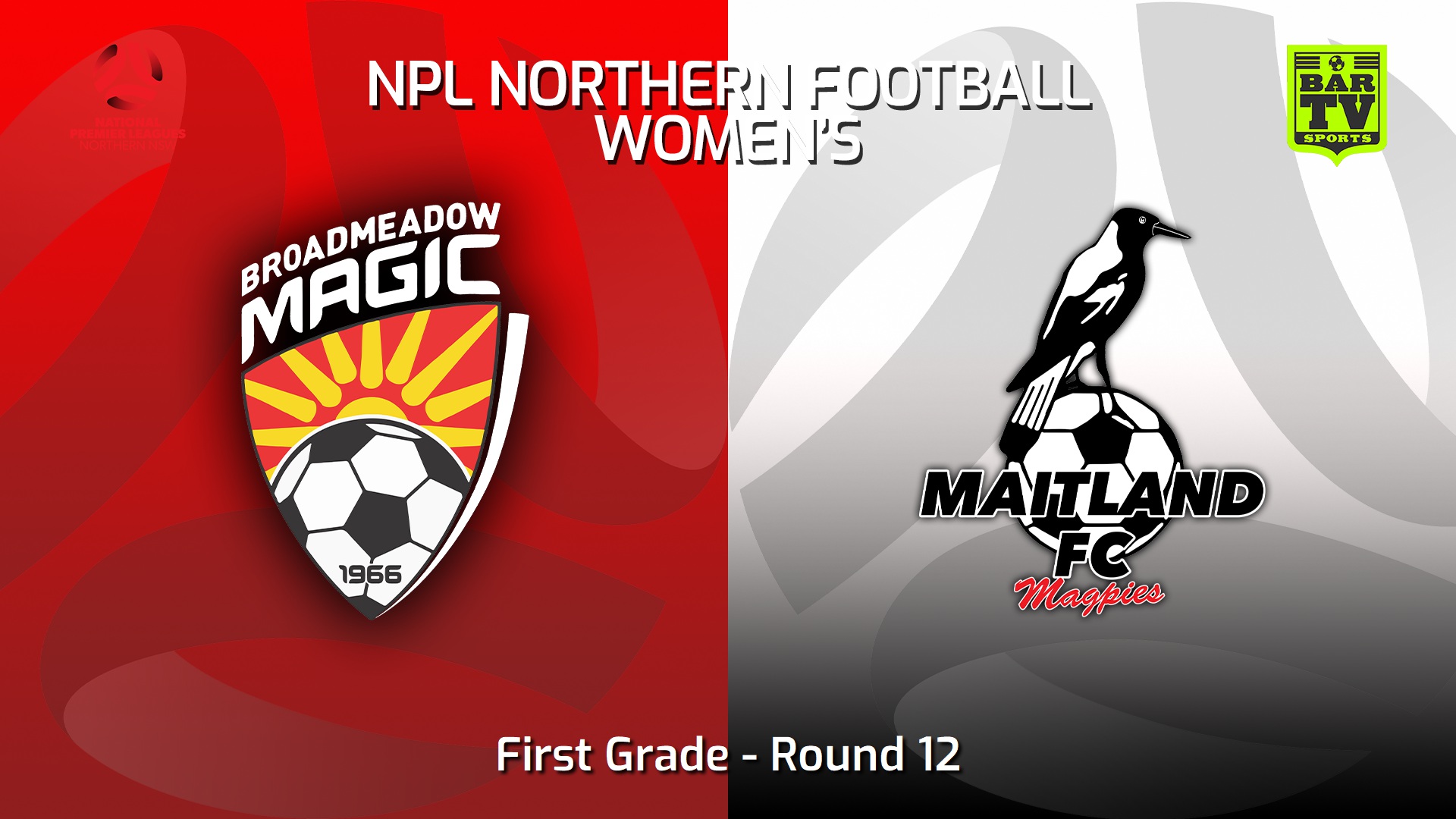 230526-NNSW NPLW Round 12 - Broadmeadow Magic FC W v Maitland FC W Slate Image