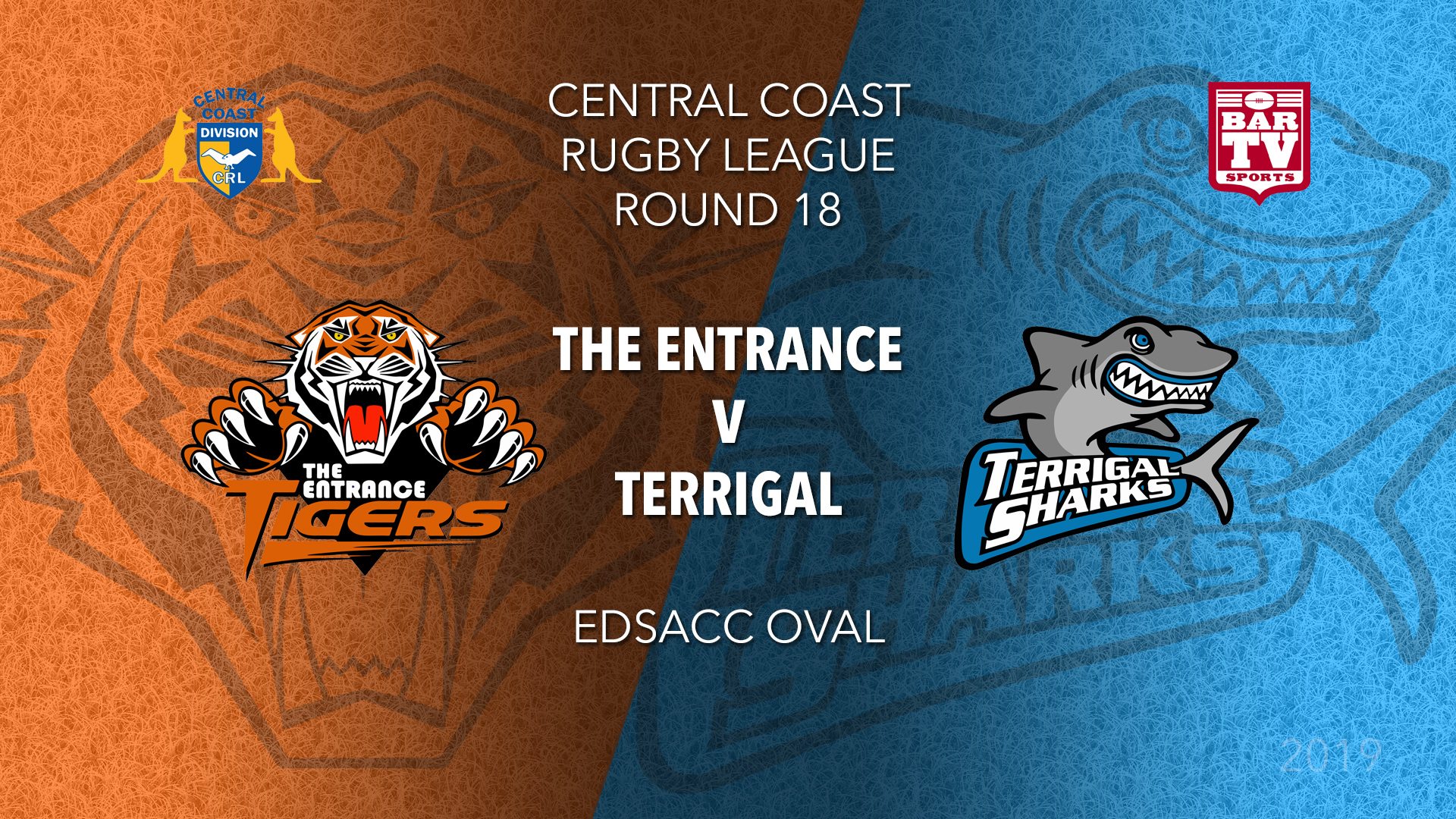 CCRL Round 18 - 1st Grade - The Entrance Tigers v Terrigal Sharks Slate Image