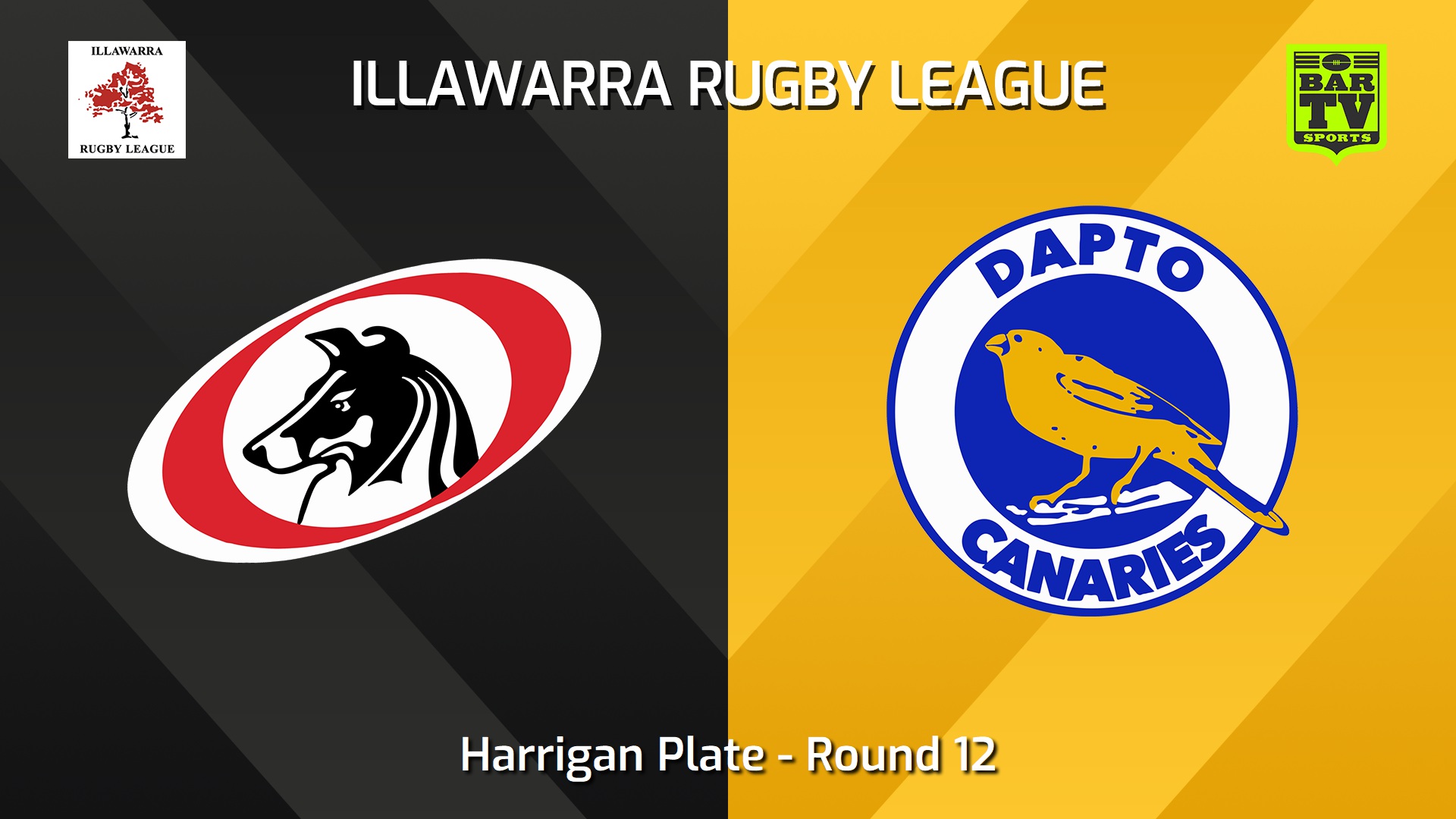 240720-video-Illawarra Round 12 - Harrigan Plate - Collegians v Dapto Canaries Slate Image