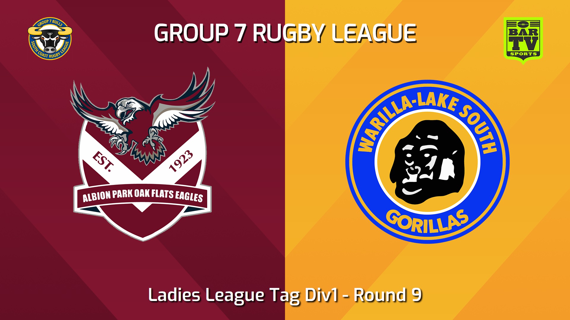 240602-video-South Coast Round 9 - Ladies League Tag Div1 - Albion Park Oak Flats Eagles v Warilla-Lake South Gorillas Slate Image