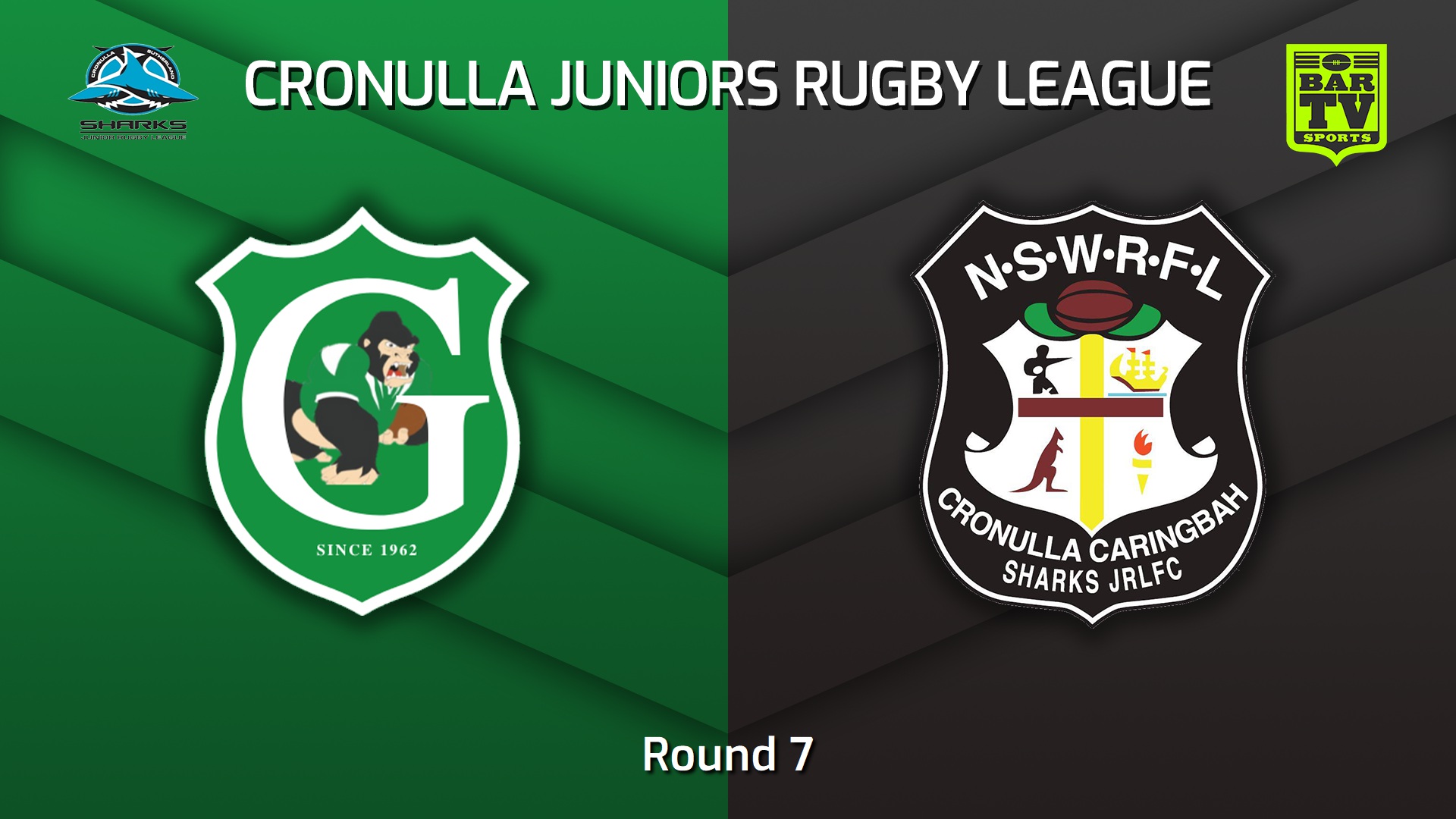 230527-Cronulla Juniors Round 7 - U11 Bronze - Gymea Gorillas v Cronulla Caringbah Slate Image
