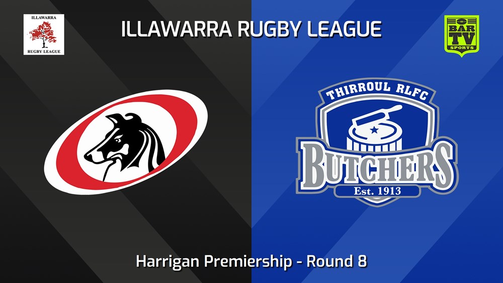 240615-video-Illawarra Round 8 - Harrigan Premiership - Collegians v Thirroul Butchers Slate Image